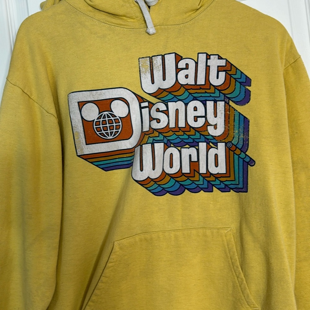 WALT DISNEY WORLD HOODIE